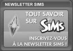 Newsletter Sims