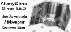 Les Sims3 avec le daily Sims !
